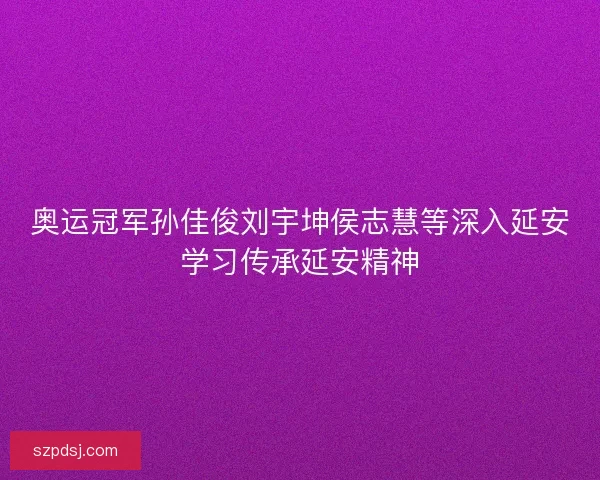 奥运冠军孙佳俊刘宇坤侯志慧等深入延安学习传承延安精神